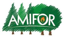 amifor-logo_2